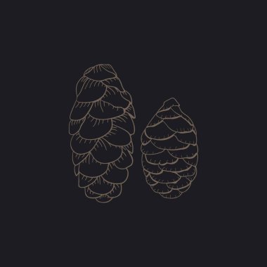 tasarlamak flora türü