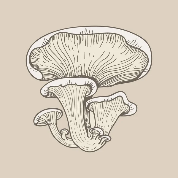 Resimde bir varyant mantar