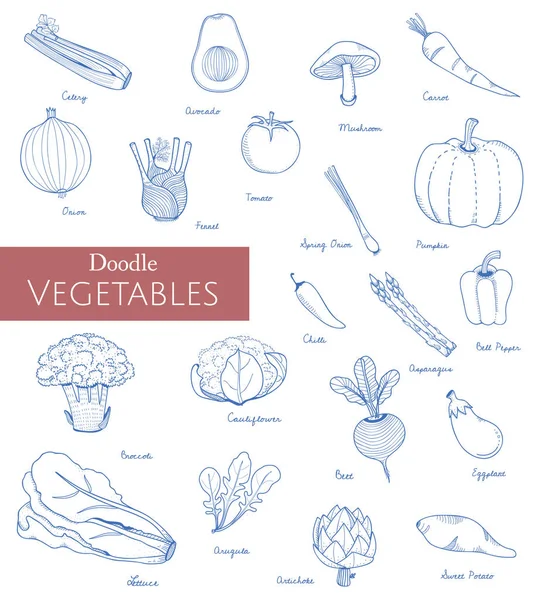 Ilustração Diferentes Tipos Vegetais — Fotografia de Stock