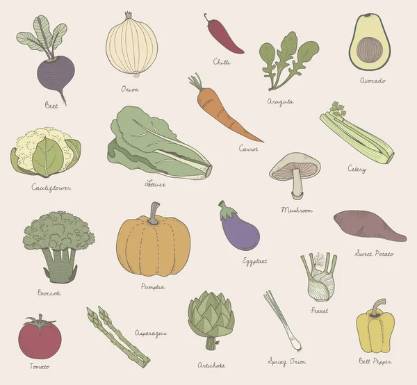 Ilustración Diferentes Tipos Verduras — Foto de Stock