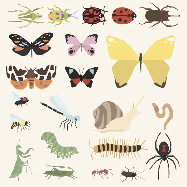 Ilustración Diferentes Tipos Insectos — Foto de Stock