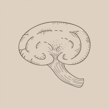 Resimde bir varyant mantar