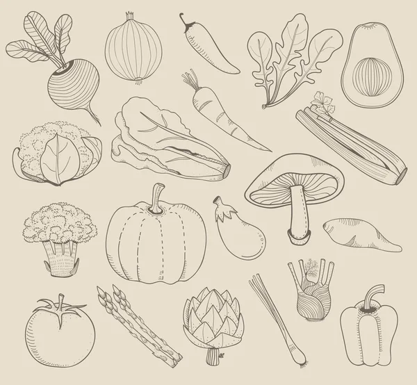 Επεξήγηση Των Διαφόρων Ειδών Λαχανικά — Φωτογραφία Αρχείου