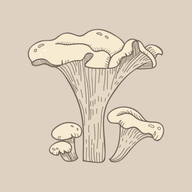 Resimde bir varyant mantar