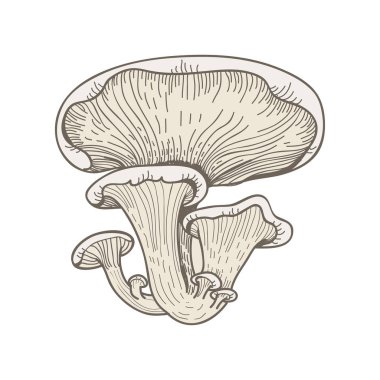 Resimde bir varyant mantar