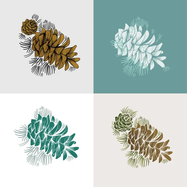 植物相のタイプのイラストをデザイン — ストック写真
