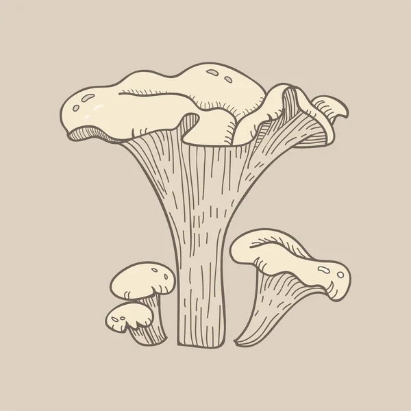 하나의 버섯의 — 스톡 사진