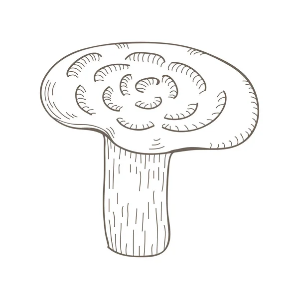 Ilustração Cogumelo Variante — Fotografia de Stock