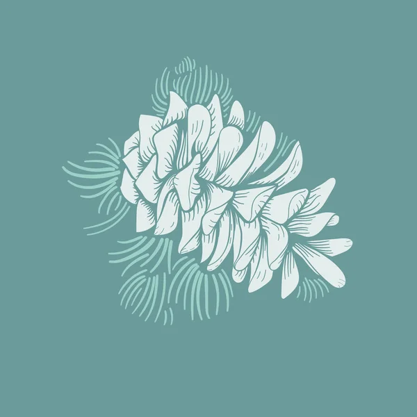 Desenho Ilustração Tipo Flora — Fotografia de Stock
