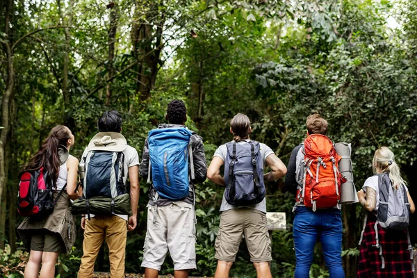 Trekking Juntos Uma Floresta — Fotografia de Stock