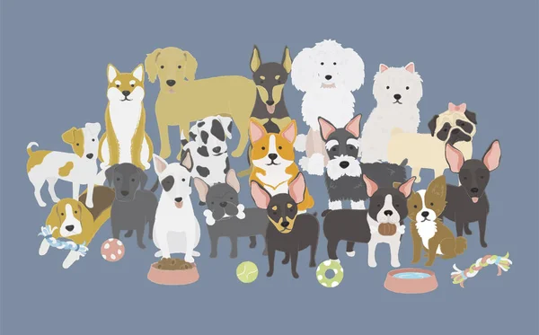 Ilustración Colección Icono Perros —  Fotos de Stock