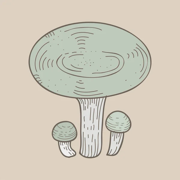一个变异蘑菇例证 — 图库照片