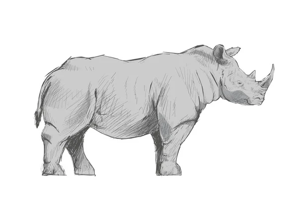 Ilustração Desenho Estilo Rinoceronte — Fotografia de Stock