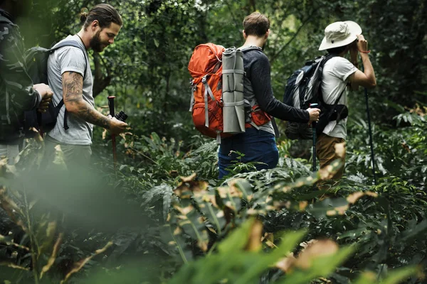 Trekking Con Gli Amici Nel Bosco — Foto Stock