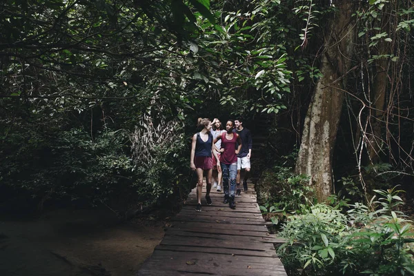 Grupo Amigos Caminando Por Bosque —  Fotos de Stock