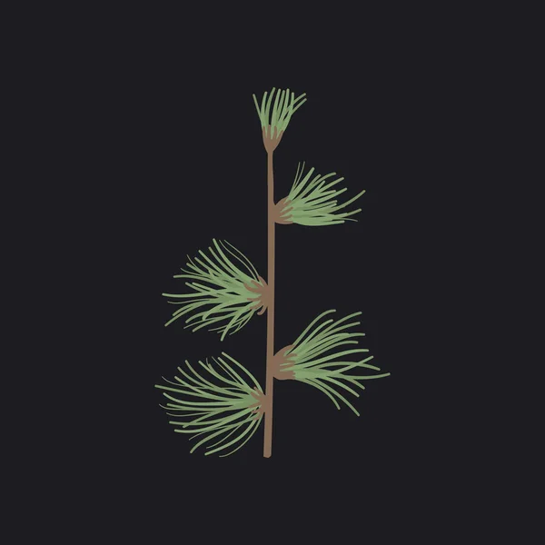 植物相のタイプのイラストをデザイン — ストック写真