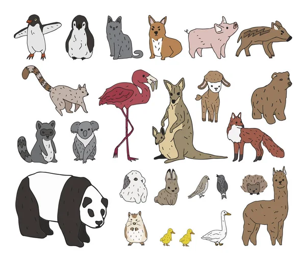 Illustrazione Dell Insieme Degli Animali — Foto Stock