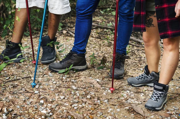 Trekking Con Gli Amici Nel Bosco — Foto Stock