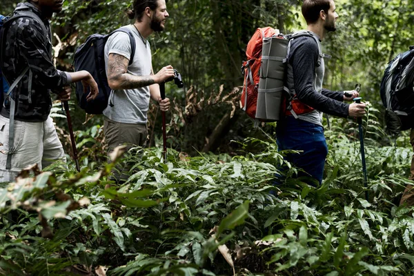 Trekking Con Gli Amici Nel Bosco — Foto Stock