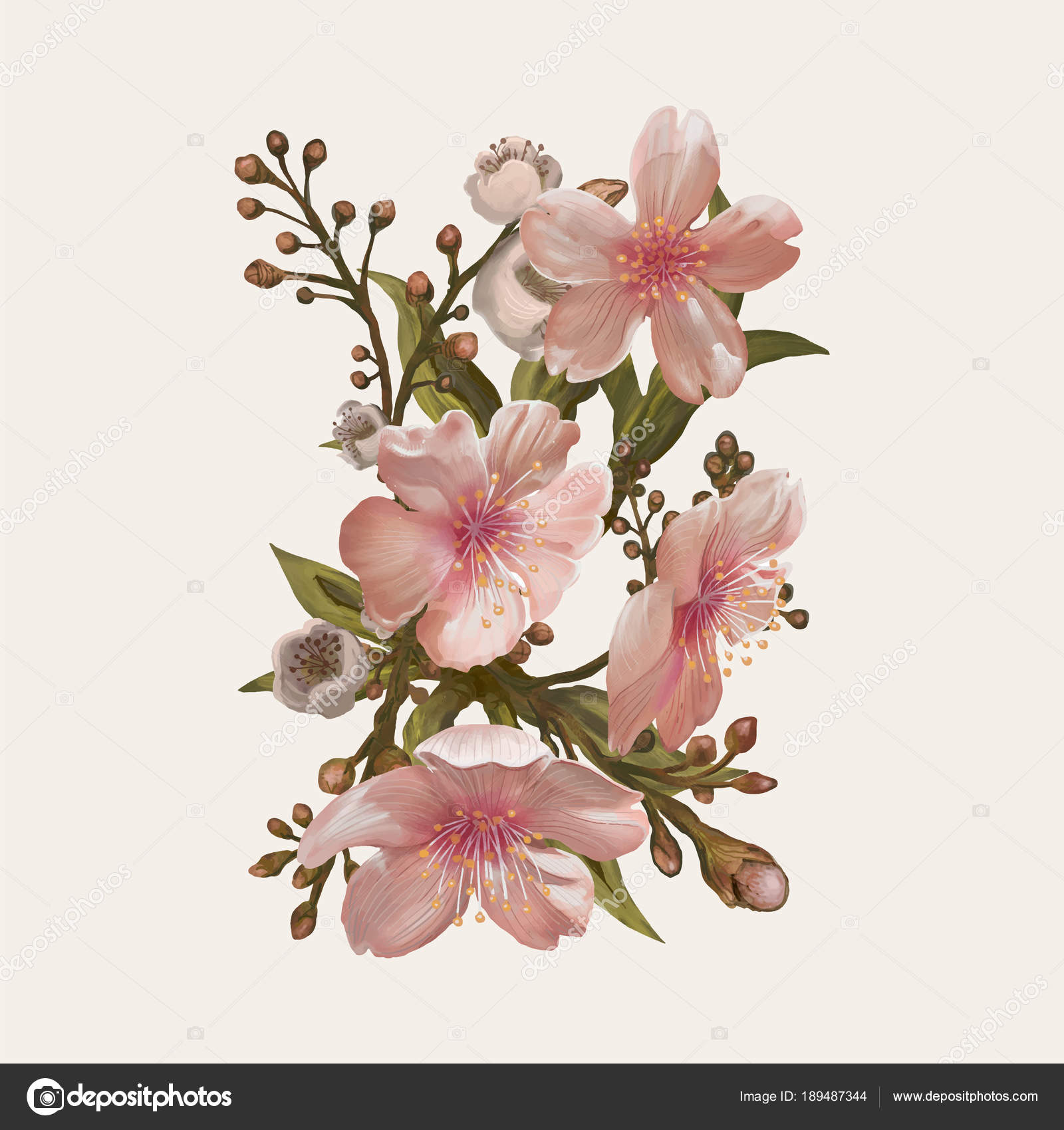 イラスト水彩花のデッサン ストック写真 C Rawpixel
