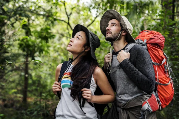 Amigos Trekking Bosque —  Fotos de Stock