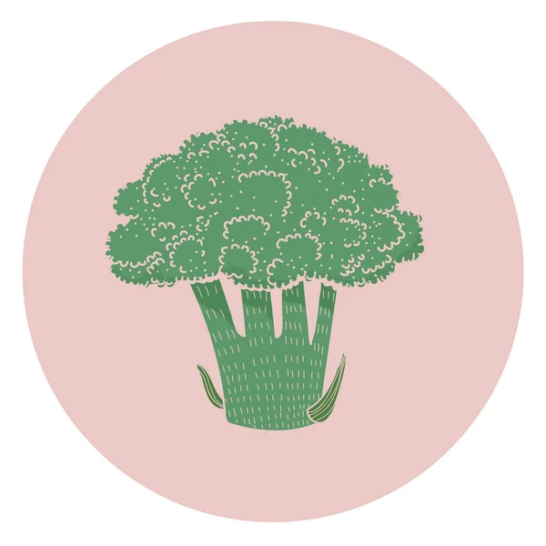 Illustrazione Concetto Broccolo — Foto Stock