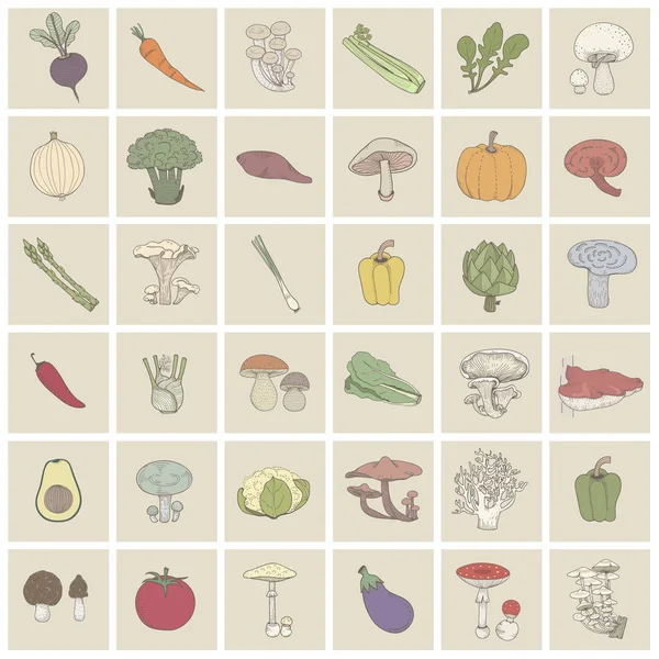 Ilustración Diferentes Tipos Verduras — Foto de Stock