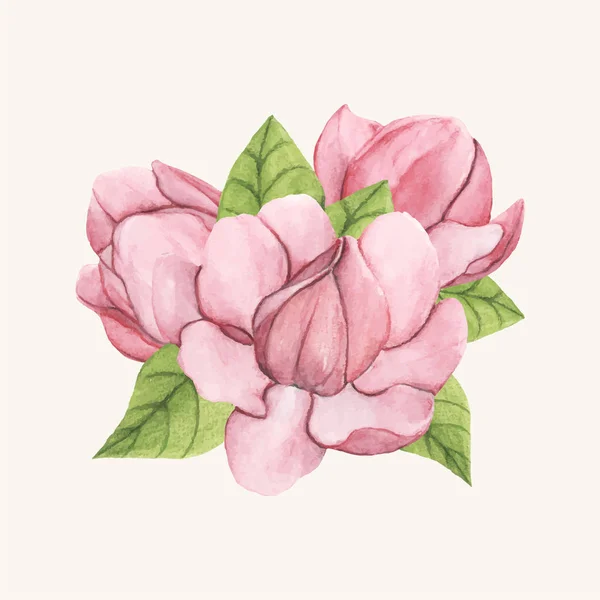 Illustration Soucoupe Magnolia Fleurs Comme Dessiné Main — Photo