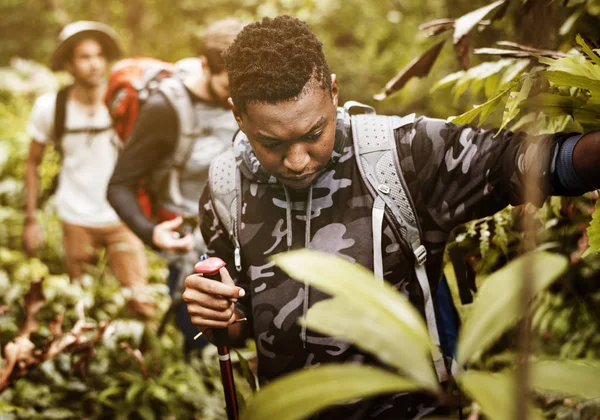 Trekking Entre Amis Dans Forêt — Photo