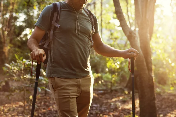 Mann Wandert Den Wald — Stockfoto