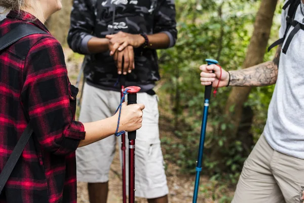 Trekking Con Gli Amici Nel Bosco — Foto Stock