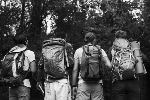 Amigos Trekking Bosque —  Fotos de Stock