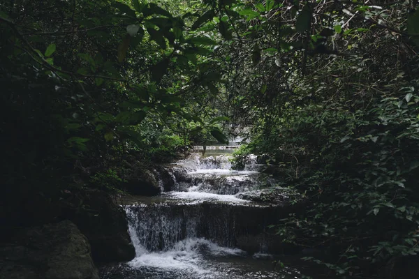 Şelale Orman Manzara Doğa — Stok fotoğraf