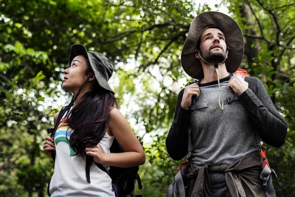 Friends Trekking Forest — Stock Photo, Image