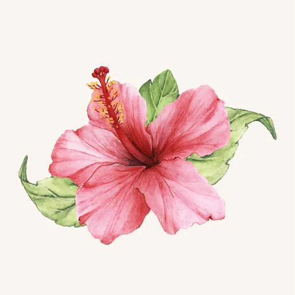 Ilustrasi Bunga Seperti Gambar Tangan — Stok Foto