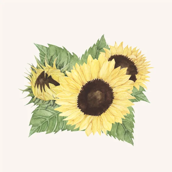 Handgezeichnete Sonnenblume Isoliert Auf Beigem Hintergrund — Stockfoto