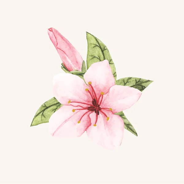 Illustration Flower Hand Drawn — Stock Photo, Image