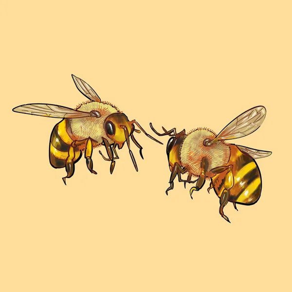 Ręcznie Rysowane Pszczoła Białym Tle Żółtym Tle — Zdjęcie stockowe