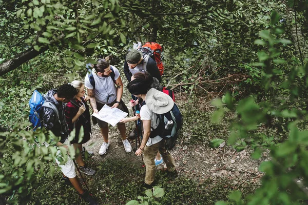 在森林里徒步旅行 — 图库照片