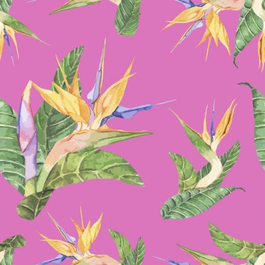 İzole el çekilmiş cennet kuşu çiçeği