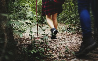 Ormanda yürüyüş arkadaş