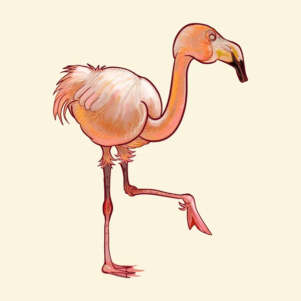 Flamingo Desenhado Mão Isolado Sobre Fundo Amarelo — Fotografia de Stock