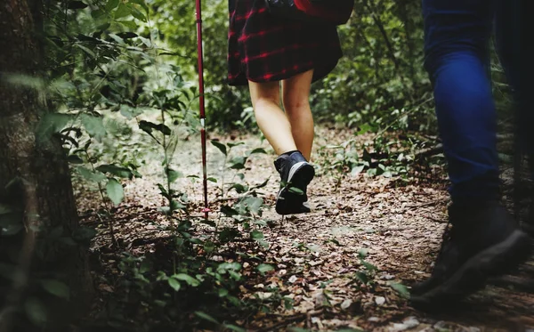 Vänner Vandring Skogen — Stockfoto