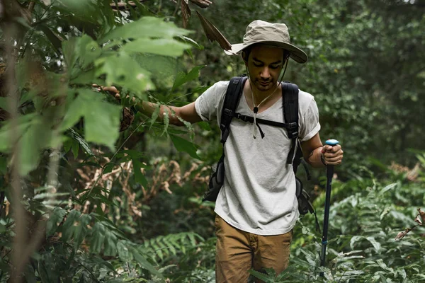 Mann Wandert Wald — Stockfoto