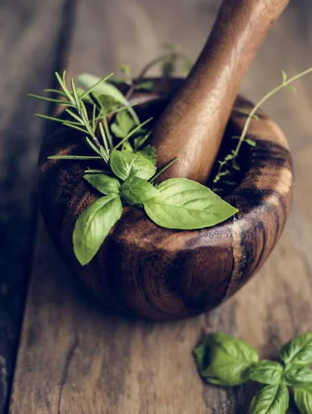 Medicina Base Plantas Ervas Verdes Tigela — Fotografia de Stock