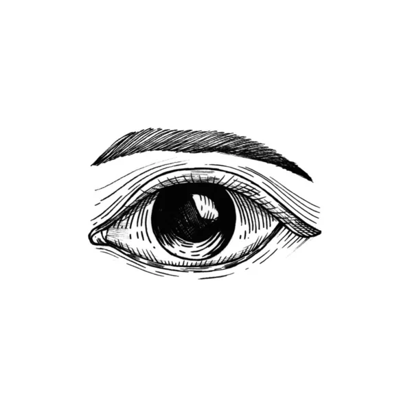 人間の目のビンテージ スタイルの図 — ストック写真