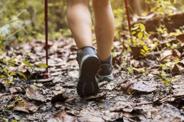 bir ormanda trekking fiyatı