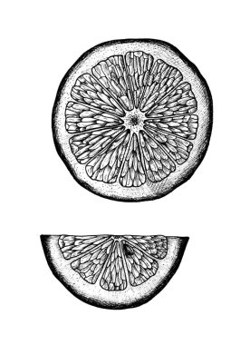 Elle çizilmiş dilim limon