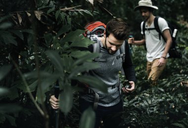 bir grup insan bir ormanda yürüyüş