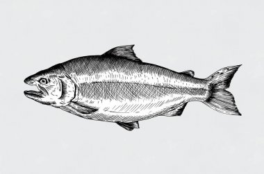 Somon Balık el çekilmiş